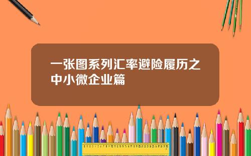 一张图系列汇率避险履历之中小微企业篇