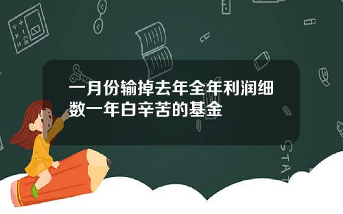 一月份输掉去年全年利润细数一年白辛苦的基金