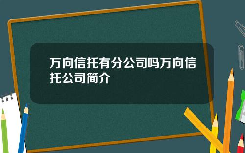 万向信托有分公司吗万向信托公司简介