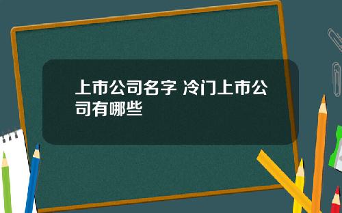 上市公司名字 冷门上市公司有哪些