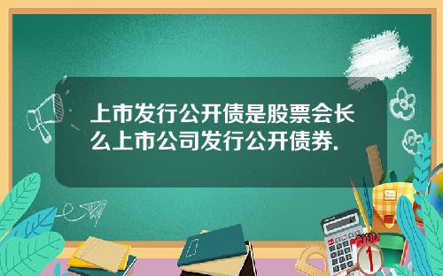 上市发行公开债是股票会长么上市公司发行公开债券.