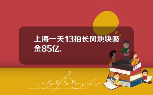 上海一天13拍长风地块吸金85亿.