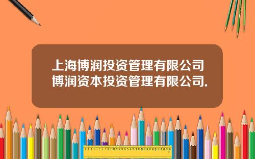 上海博润投资管理有限公司博润资本投资管理有限公司.