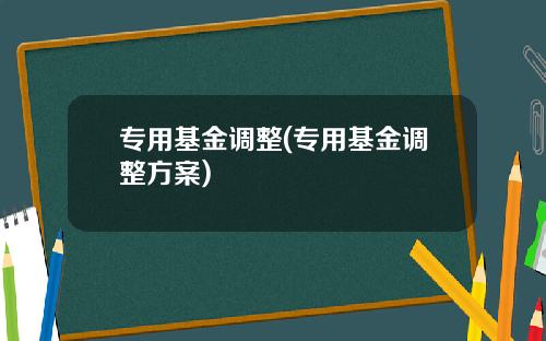 专用基金调整(专用基金调整方案)