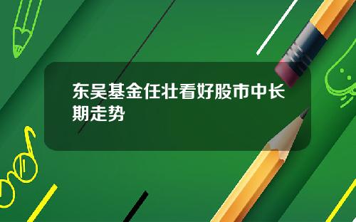 东吴基金任壮看好股市中长期走势