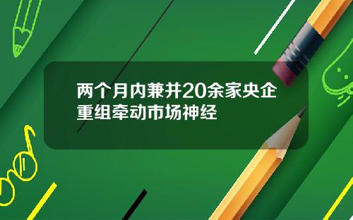 两个月内兼并20余家央企重组牵动市场神经