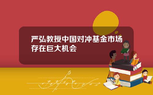 严弘教授中国对冲基金市场存在巨大机会