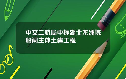 中交二航局中标湖北龙洲垸船闸主体土建工程