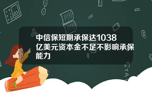 中信保短期承保达1038亿美元资本金不足不影响承保能力