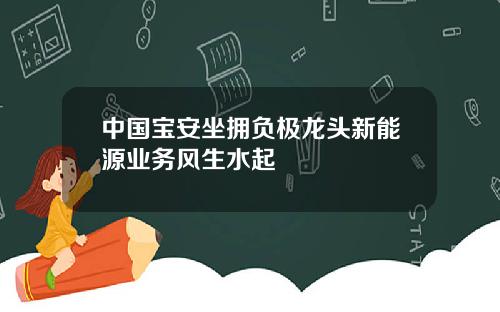 中国宝安坐拥负极龙头新能源业务风生水起