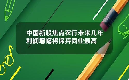 中国新股焦点农行未来几年利润增幅将保持同业最高