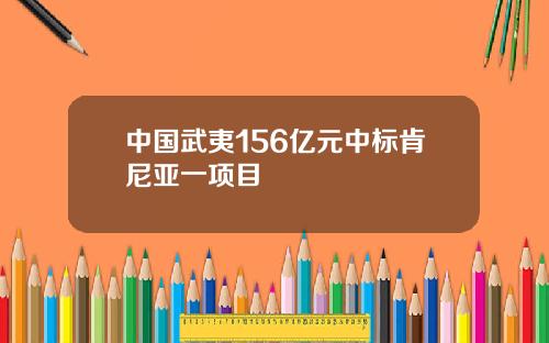 中国武夷156亿元中标肯尼亚一项目