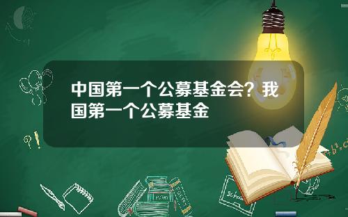 中国第一个公募基金会？我国第一个公募基金