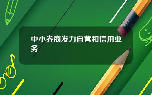 中小券商发力自营和信用业务