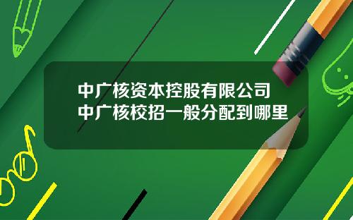 中广核资本控股有限公司 中广核校招一般分配到哪里