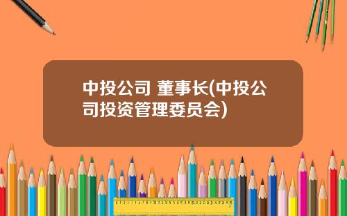 中投公司 董事长(中投公司投资管理委员会)