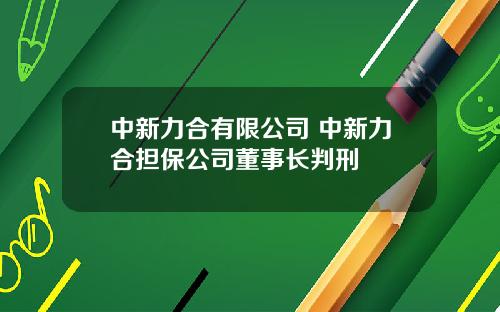 中新力合有限公司 中新力合担保公司董事长判刑