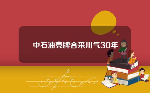 中石油壳牌合采川气30年