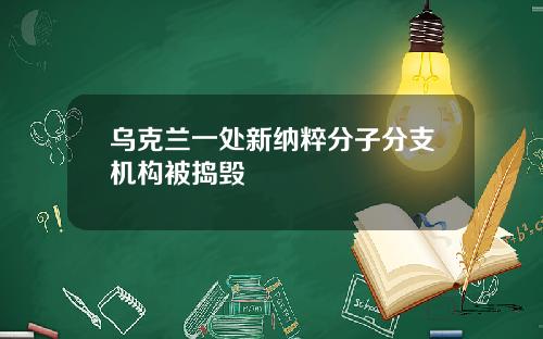 乌克兰一处新纳粹分子分支机构被捣毁