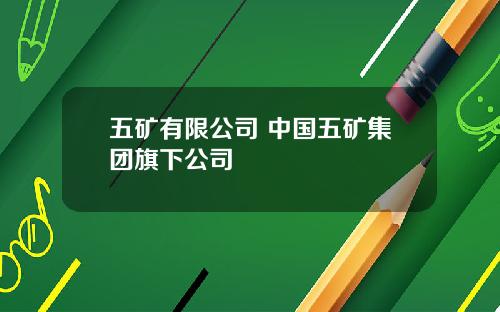 五矿有限公司 中国五矿集团旗下公司