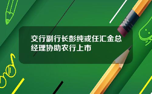 交行副行长彭纯或任汇金总经理协助农行上市