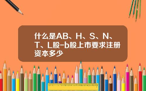 什么是AB、H、S、N、T、L股-b股上市要求注册资本多少