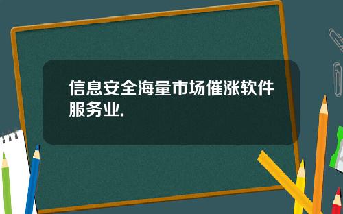 信息安全海量市场催涨软件服务业.