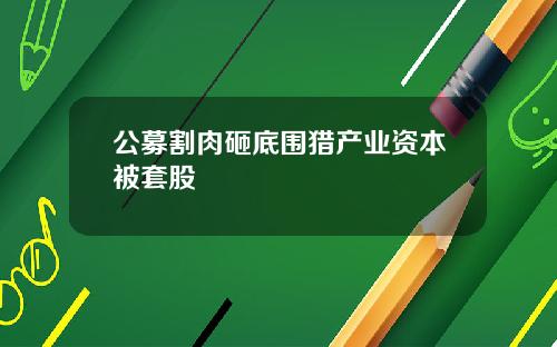 公募割肉砸底围猎产业资本被套股