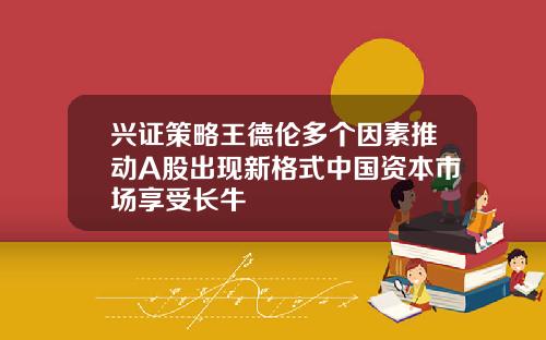 兴证策略王德伦多个因素推动A股出现新格式中国资本市场享受长牛