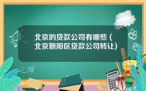 北京的贷款公司有哪些 (北京朝阳区贷款公司转让)