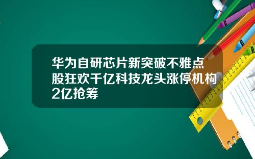 华为自研芯片新突破不雅点股狂欢千亿科技龙头涨停机构2亿抢筹