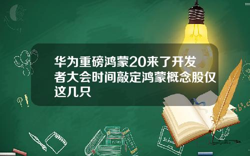 华为重磅鸿蒙20来了开发者大会时间敲定鸿蒙概念股仅这几只