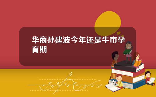 华商孙建波今年还是牛市孕育期