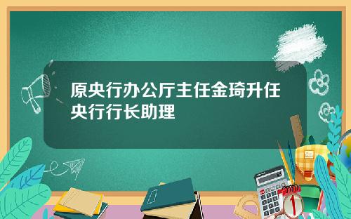 原央行办公厅主任金琦升任央行行长助理