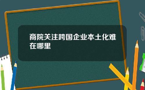 商院关注跨国企业本土化难在哪里