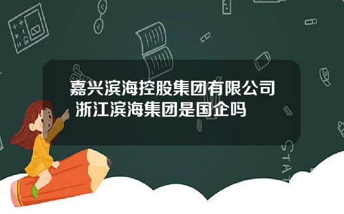 嘉兴滨海控股集团有限公司 浙江滨海集团是国企吗