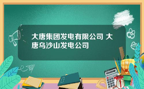 大唐集团发电有限公司 大唐乌沙山发电公司