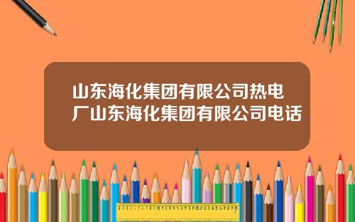 山东海化集团有限公司热电厂山东海化集团有限公司电话