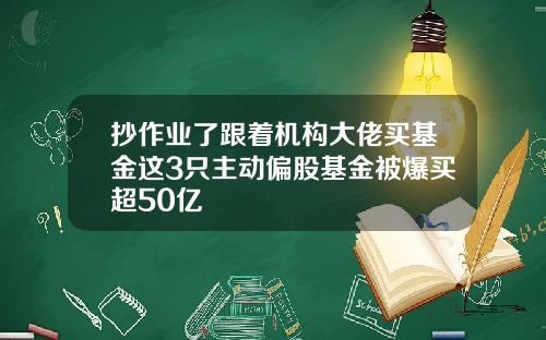 抄作业了跟着机构大佬买基金这3只主动偏股基金被爆买超50亿