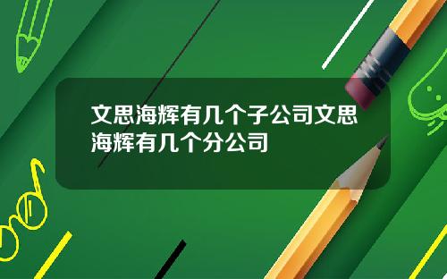 文思海辉有几个子公司文思海辉有几个分公司