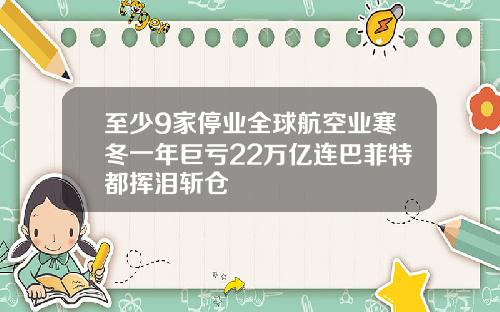 至少9家停业全球航空业寒冬一年巨亏22万亿连巴菲特都挥泪斩仓