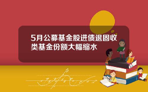 5月公募基金股进债退固收类基金份额大幅缩水