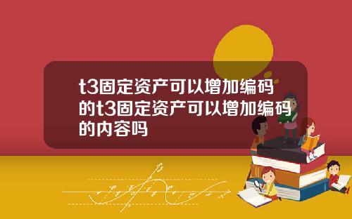 t3固定资产可以增加编码的t3固定资产可以增加编码的内容吗