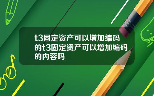 t3固定资产可以增加编码的t3固定资产可以增加编码的内容吗