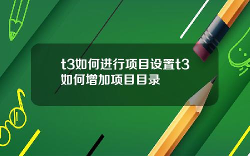 t3如何进行项目设置t3如何增加项目目录