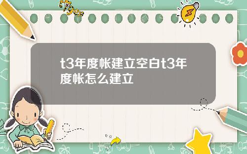 t3年度帐建立空白t3年度帐怎么建立