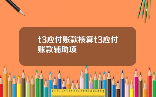 t3应付账款核算t3应付账款辅助项