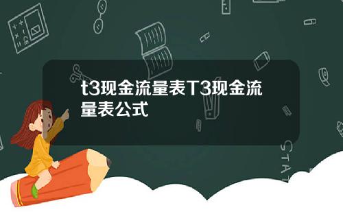 t3现金流量表T3现金流量表公式