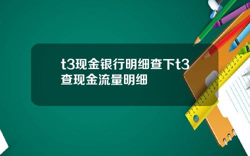 t3现金银行明细查下t3查现金流量明细