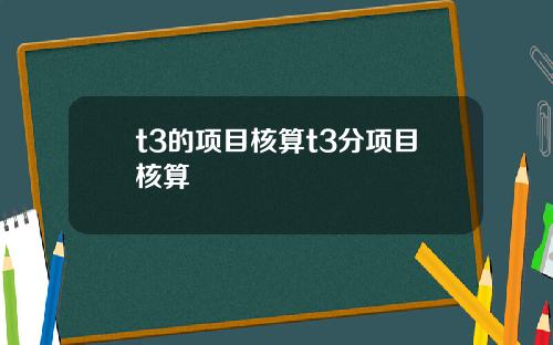 t3的项目核算t3分项目核算